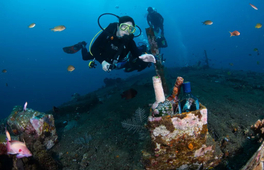 巴厘島卡朗阿森短途潛水之旅（PADI五星級潛水中心）