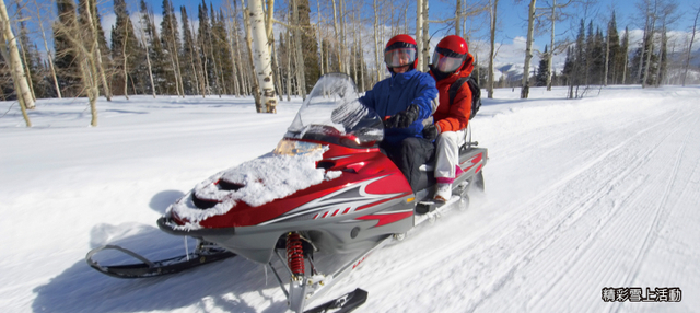 易起FUN寒假♯冬雪北海道５日－米其林星空夜景、企鵝遊行、卡哇伊熊牧場、雪上活動、螃蟹懷石料理、啤酒暢飲、洞爺彩燈隧道、札幌白色燈樹節
