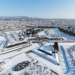 【易遊嚴選】星宇航空．北海道6天．函館百萬夜景纜車．企鵝遊行．熊牧場．浪漫小樽．星型五稜廓．三溫泉．札幌一日自由活動(函館進出)