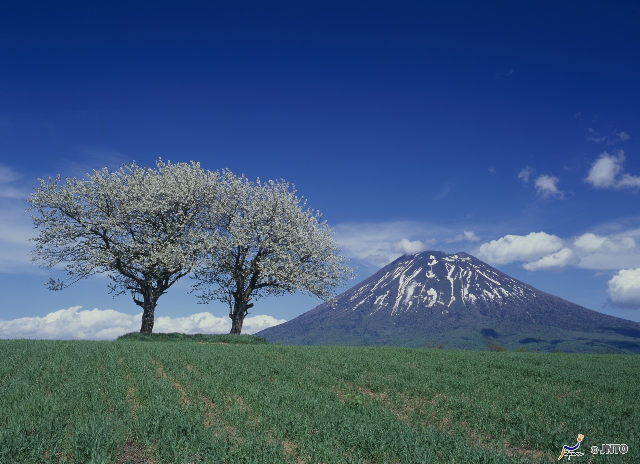 羊蹄山旅遊指南 熱門景點資訊 交通地圖 Eztravel易遊網