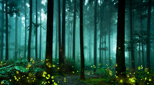 花蓮．野餐饗宴+私房賞螢秘境+季節香草手工醋體驗3天