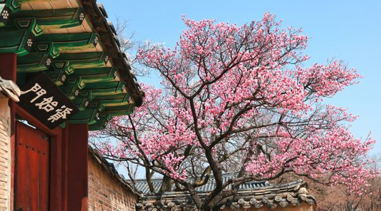 首爾機加酒 ✈ 5天4夜