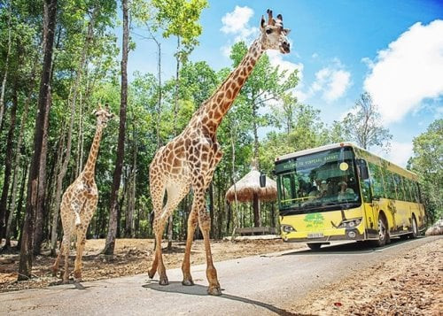 【奇幻富國島】香島跨海纜車．珍珠野生動物園．大海龜樂園．威尼斯大世界6天(4星+南島2晚5星|越捷直飛)6人成行