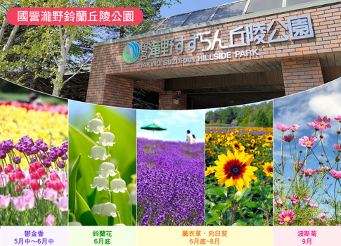 【熱賣】北海道夢幻花之旅6日.鈴蘭山谷.企鵝萌寵.富良野美瑛花田.洞爺湖花火.奇幻步道.雙溫泉.三大螃蟹吃到飽(千千)