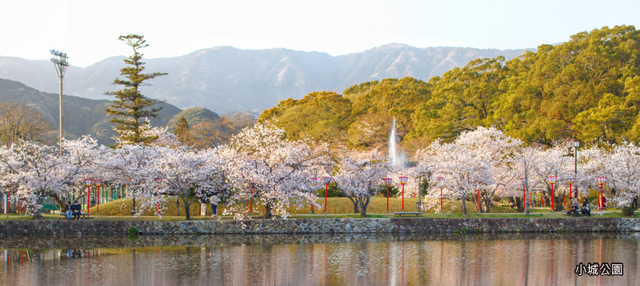 九州賞櫻‧佐賀夜櫻５日 - 小城公園、御船山夜櫻、祐德稻荷神社、大村公園、和服漫步水前寺、柳川花見遊船、衫之馬場櫻花隧道