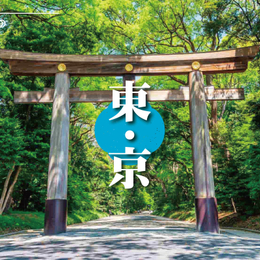 【酷玩東京迪士尼+富士雪樂園】明治神宮.淺草雷門觀音寺.忍野八海.御殿場OUTLET.富士溫泉螃蟹 5 天