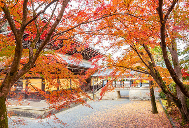 賞楓送你振興券 關西秋意濃 常寂光寺 貴船神社紅葉隧道 南禪寺 和服體驗五日關團 Eztravel易遊網