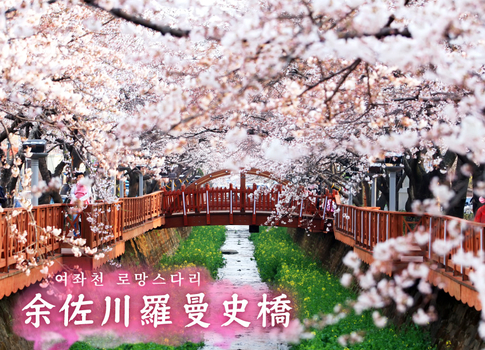 跟團限時省♯<春季限定>春賞飛櫻釜慶５日(彩妝1站)~鎮海軍港節.余佐川羅曼史橋.慶州佛國寺.慶和火車站.月精橋.全程釜山市區飯店