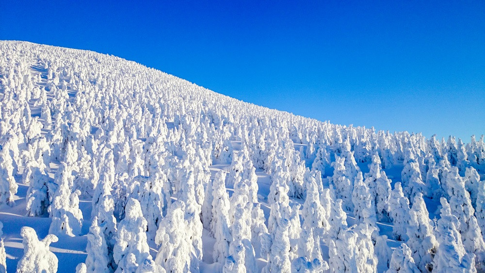 東北雪舞紛飛～藏王樹冰纜車、最上川雪見舟、松島銀山溫泉、秋田縱貫鐵道五日