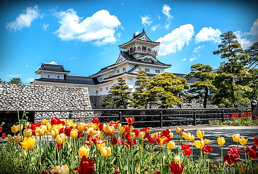 預約粉紅櫻花海♯春遊北陸~全新福井萬怡|5大櫻花名所~兼六園.丸岡城.松川賞櫻船.足羽川河畔.新穗高纜車.合掌村.甜蝦吃到飽五日|不進店