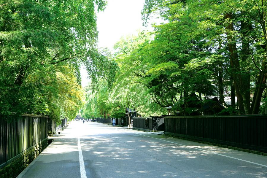 【限時限量】漫步奧入瀨、角館鐵道、舟遊猊鼻溪、松島中尊寺、溫泉手作5日/JX862