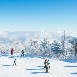 釜山玩雪樂園5天~伊甸園滑雪、樂天樂園、採果樂、海岸列車、Luge滑車、黑白大廚(彩妝一站)
