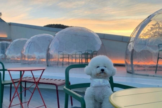 【樂遊釜邱】跑跑卡丁車、樂天世界、泡泡海景咖啡、天空步道、汗蒸幕5日(一站彩妝)
