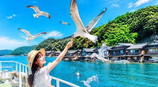 京都海天秘境與山間童話一日遊