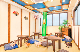 京都Micro Pig Cafe迷你豬咖啡館體驗