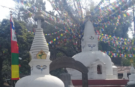 世界遺產 & 文化歷史半天遊