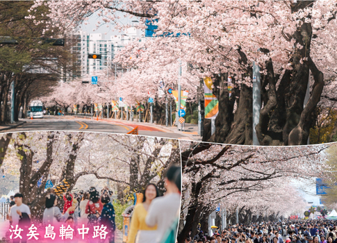 跟團限時省♯【春季線上旅展一口價/高雄出發】出發首爾賞櫻趣５日(彩妝1站)~韓國100選.南山公園.西村韓屋村.石村湖.仁川大公園