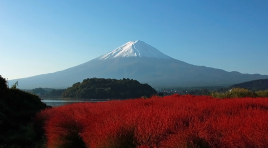 大石公園+富士山+時令水果採摘