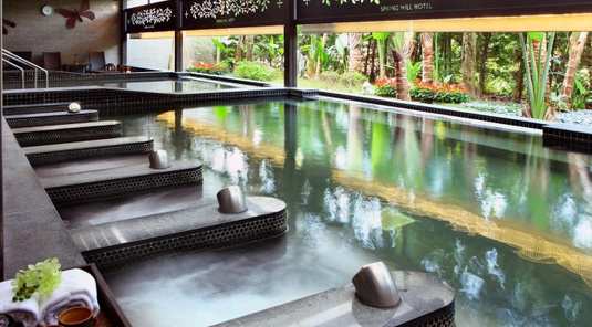 高雄．花季飯店暖湯食光1日