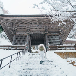 快閃旅遊節♯冬戀東北~會津鐵道、藏王樹冰纜車、雪中採草莓5日