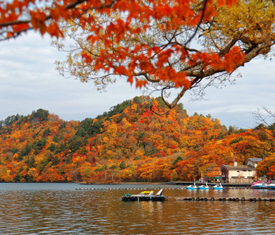 Jr新幹線北海道 東北 青森奧入瀨溪 睡魔之家 函館夜景 溫泉美食五日 仙台 函館 關團 Eztravel易遊網