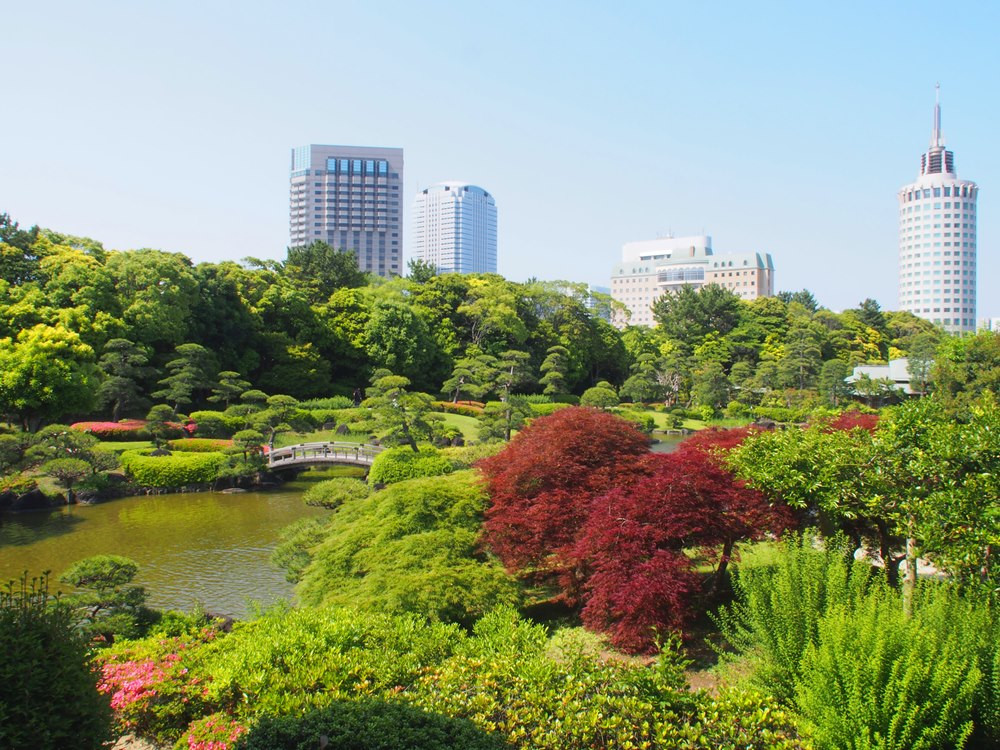 【端午連休】蔚藍北海道輕旅行溫泉5日.積丹半島.美瑛秘境青池.富田農場.洞爺湖花火.頭大佛.浪漫小樽