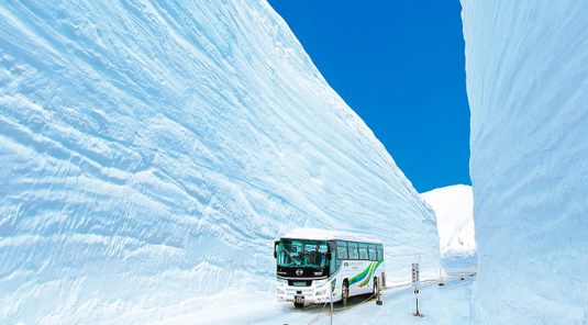 易遊x星宇×立山雪壁 5 天(名古屋進出)．立山黑部奇景．上高地．白川合掌村．兼六園．名古屋城．上三之町．兼六園．東茶屋街