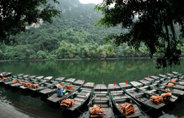 越南白亭寺 & 長安生態保護區一日遊（河內出發）