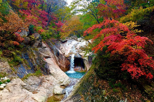 【迷戀雪嶽山】正東津海洋列車、晨靜樹木園、鹽田網美咖啡廳、韓服體驗5日(一站彩妝)