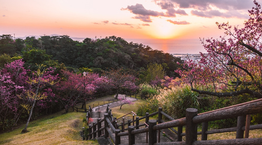 沖繩機加酒 ✈ 5天4夜