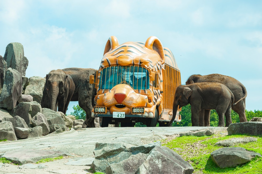 易遊嚴選~ 星宇九州5天．SAFARI自然動物園．叢林巴士．海之中道海洋世界． 別府海地獄．熊本熊電鐵．雙溫泉(熊本進出)