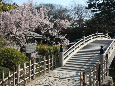跟團限時省♯春櫻四國~浪漫小豆島5日道後溫泉街.寒霞溪纜車.二十四瞳映畫村