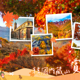 追楓早鳥省♯秋楓童話內藏山米其林５日〈彩妝一站〉-內藏山、大芚山纜車、頂級汗蒸幕、全州殿洞聖堂、韓服漫遊韓屋村、百年銀杏樹