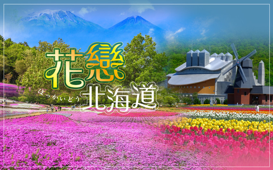 跟團即食行樂♯花戀北海道５日－星野TOMAMU、五星鶴雅、雲海纜車、芝櫻、鬱金香、濕原小火車、阿寒湖遊覽船、海鮮和牛螃蟹吃到飽