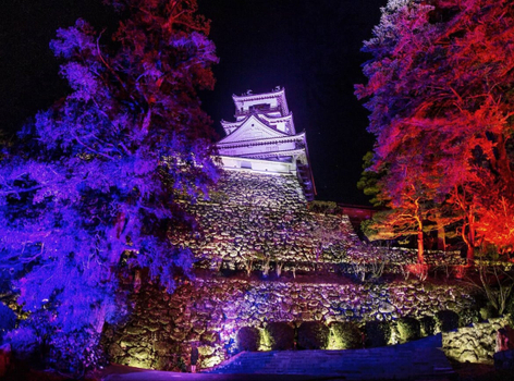 春節獨家限時省♯【四國冬物語】道後溫泉x足摺星空之宿．四萬十川屋形船．大步危峽谷．鰹魚炙燒x烏龍麵體驗．金刀比羅宮．採草莓趣．高知城5天