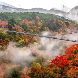 九州福岡紅葉楓旅+別府纜車+柳川遊船+萌熊電車+三大蟹吃到飽溫泉5日(長榮航空福岡進出)