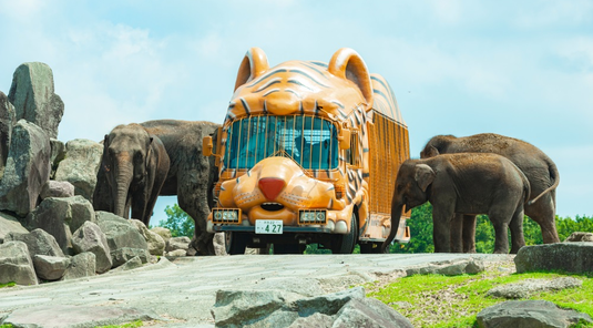 易遊×星宇九州5天.SAFARI自然動物園+叢林巴士.柳川遊船. 別府海地獄.熊本熊電鐵.太宰府天滿宮.溫泉飯店(熊本進出)