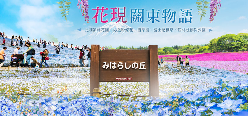 花現關東物語５日－足利紫藤花卉、沁藍粉蝶花、富士芝櫻祭、杜鵑崗公園、長瀞泛舟、輕井澤、伊勢龍蝦&海膽生魚片