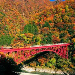 超前部暑♯立山黑部鐵道峽谷+上高地合掌村+惠那峽+金澤兼六園+熱田神宮溫泉美食5日(名古屋進出)-星宇