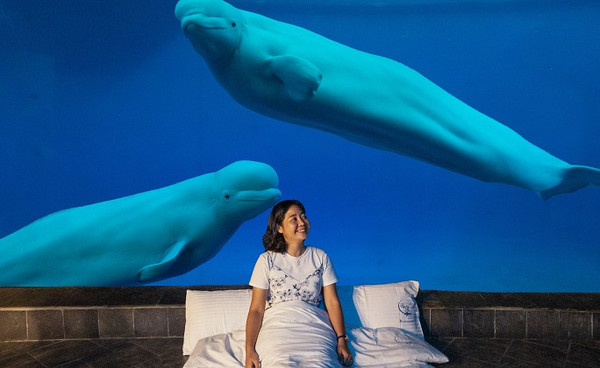 【環島之星萌旅號】屏東夜宿海生館．珊瑚王國的美麗蟹逅 2天(7-10月限定．南部出發)