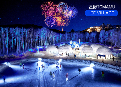 易起追雪限時省♯星雪戀北海道保住星野TOMAMU5日.霧冰纜車.愛麗絲冰城.青池秘境.旭山動物園.白色燈節.三大螃蟹吃到飽