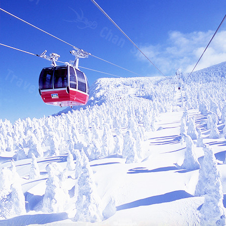 【冬季限定】東北藏王樹冰.狐狸村.銀山溫泉.雙溫泉六日