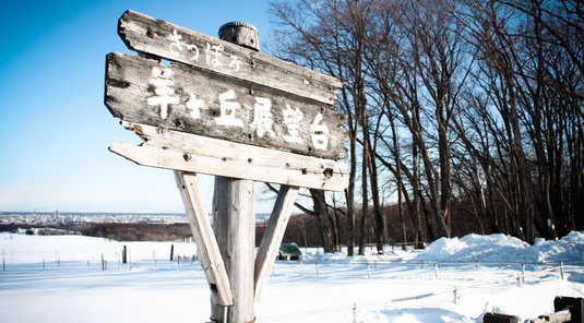 【北海道】羊之丘展望台