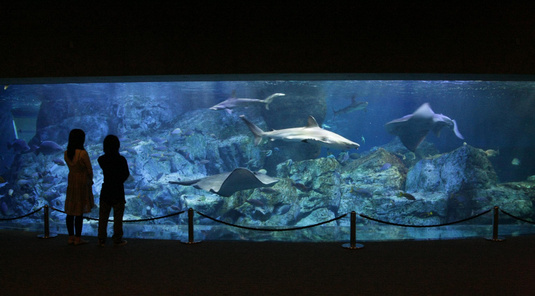 【福岡】大分海洋宮殿水族館