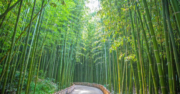 太和江旅遊指南 熱門景點資訊、交通地圖 ezTravel易遊網