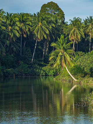 台北-哥打巴魯 Kota Bharu