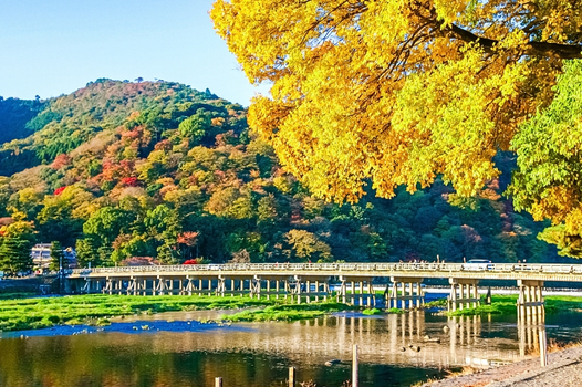 台中神戶大阪三都精選之旅+國產牛吃到飽五日~嵐山渡月橋+清水寺+伏見稻荷大社+奈良鹿公園(星宇)