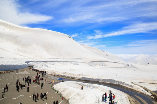 日本名景收藏～立山黑部雪壁×世界遺產白川鄉合掌村×上高地×紫藤花・粉蝶花・富士芝櫻五日(酷航)