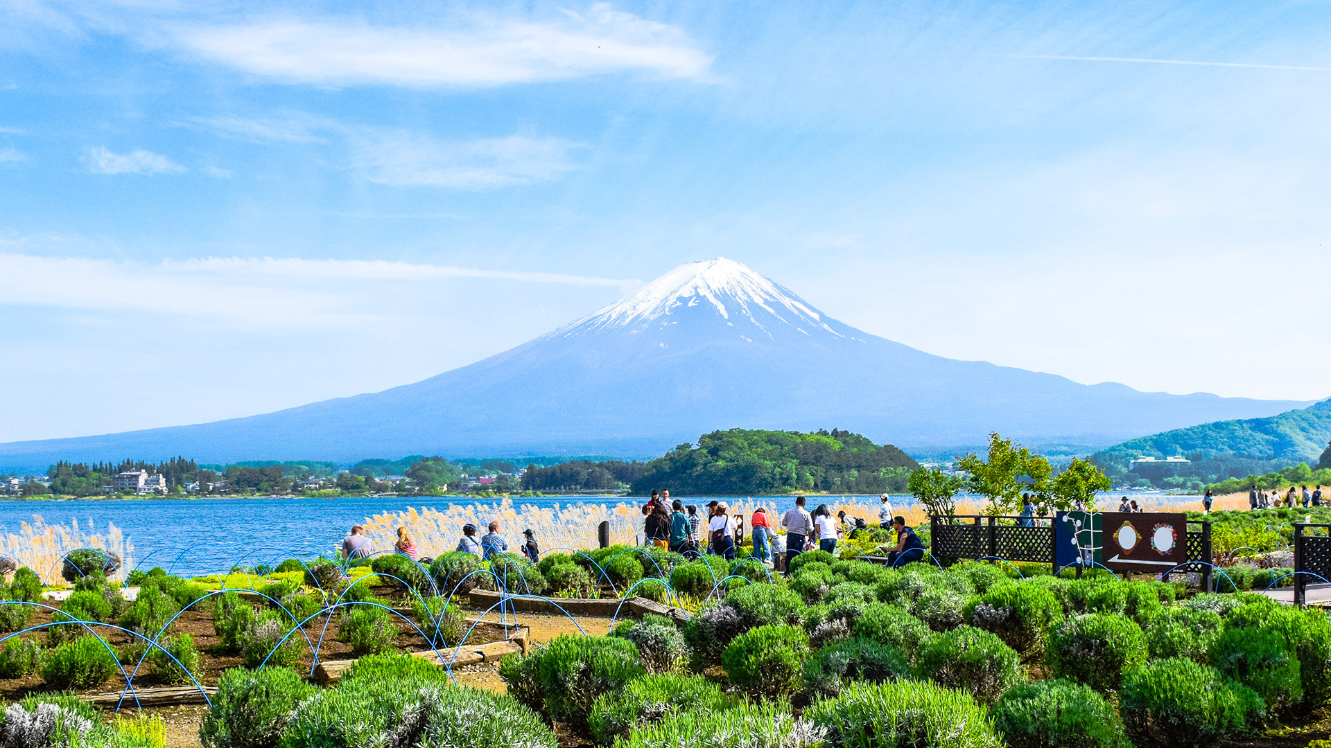 跟團限時省♯星享宇你樂遊東京～激安５日～東京迪士尼、富士山美景、忍野八海、明治神宮、麻布台之丘