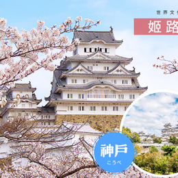 線上旅展～桃太郎關西四都5日.螃蟹吃到飽.和服體驗.姬路城.米其林金閣寺.清水寺.嵐山.東大寺梅花鹿